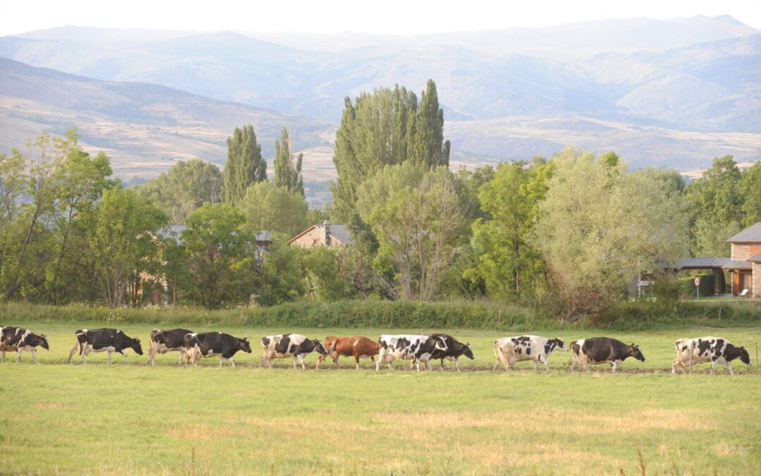 Preocupació pel trasllat de l’oficina DARP Cerdanya