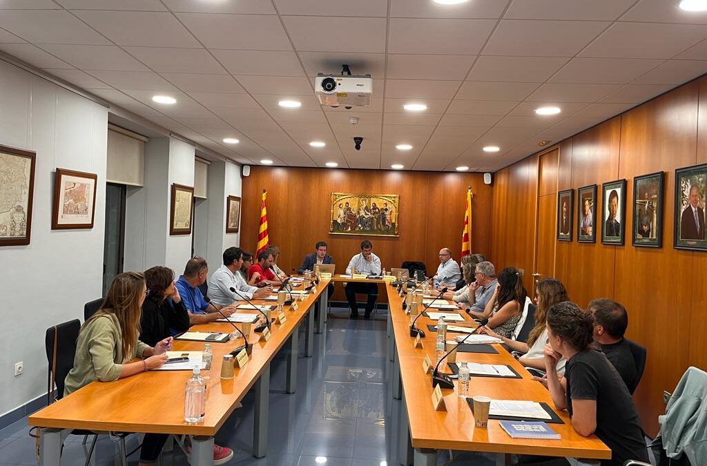 Sessió extraordinària urgent del Ple del Consell Comarcal de la Cerdanya