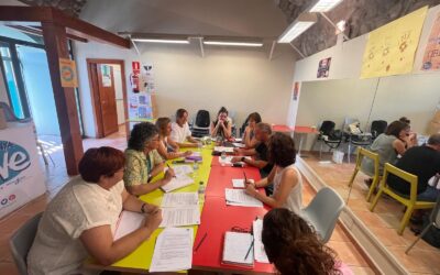 Aprovat el pla d’actuació anual de l’Oficina Jove de Cerdanya
