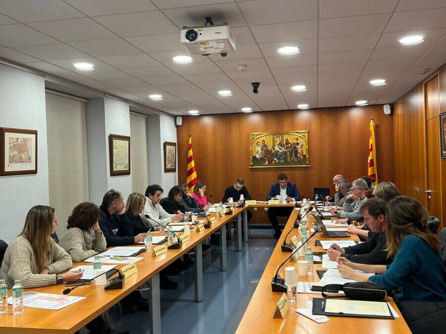 El Consell Comarcal de la Cerdanya aprova una moció sobre els parcs solars a la comarca