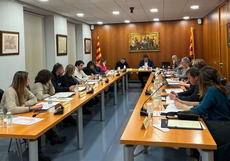 Ple ordinari 18/12/24